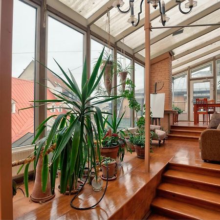 Dandelion Apartment Vecpilsetas Riga Dış mekan fotoğraf